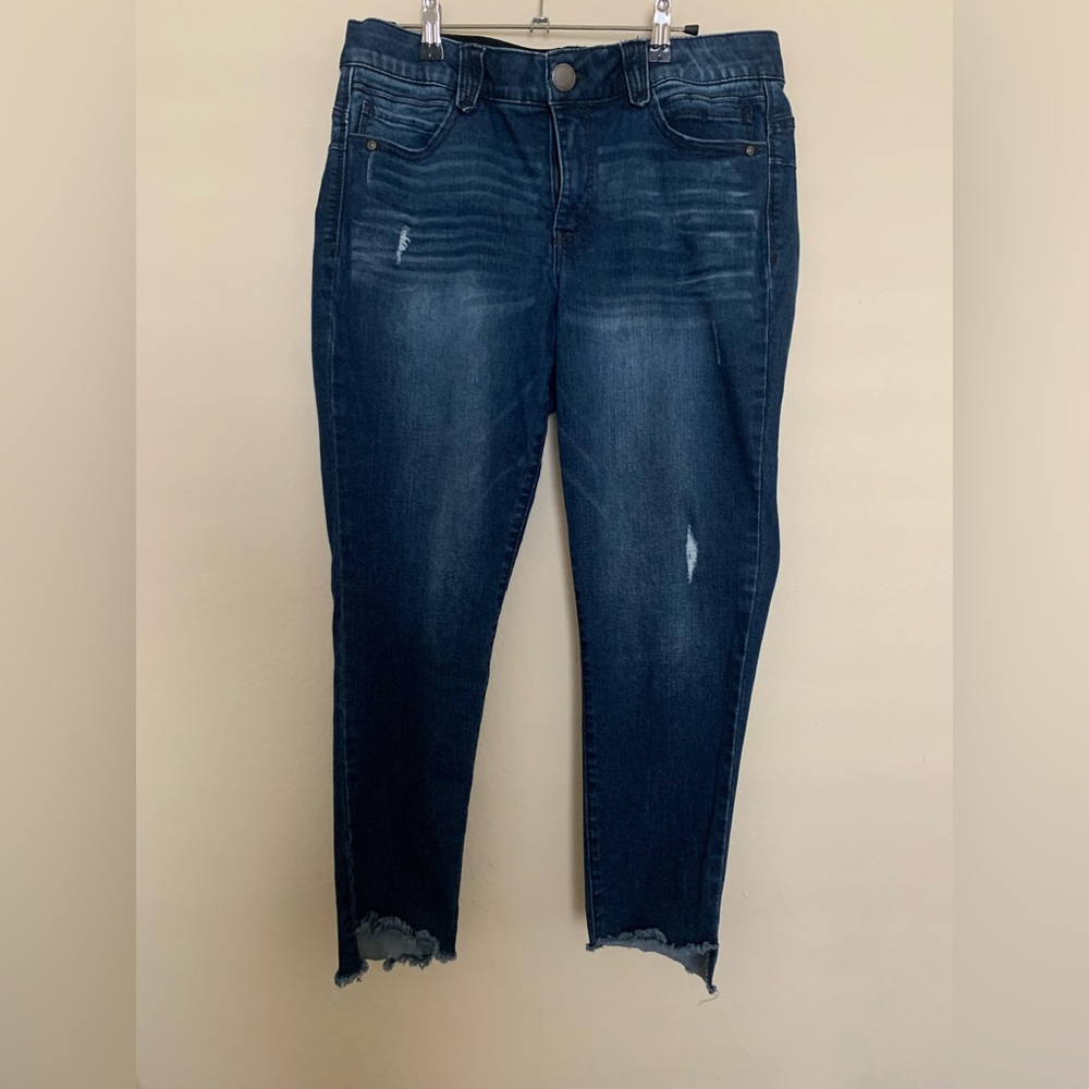 Democracy Ab Solution 12P Jean